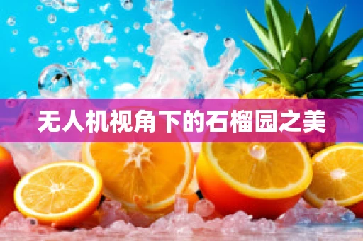 无人机视角下的石榴园之美