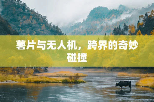 薯片与无人机，跨界的奇妙碰撞