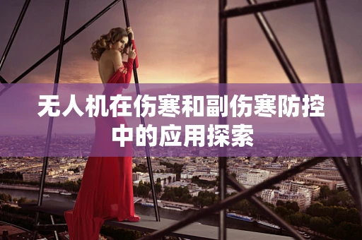 无人机在伤寒和副伤寒防控中的应用探索