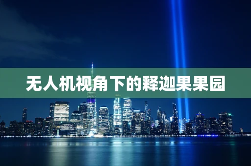 无人机视角下的释迦果果园