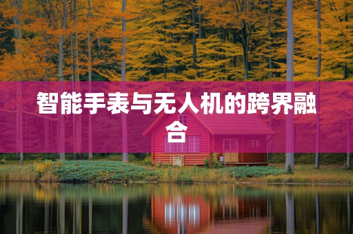 智能手表与无人机的跨界融合
