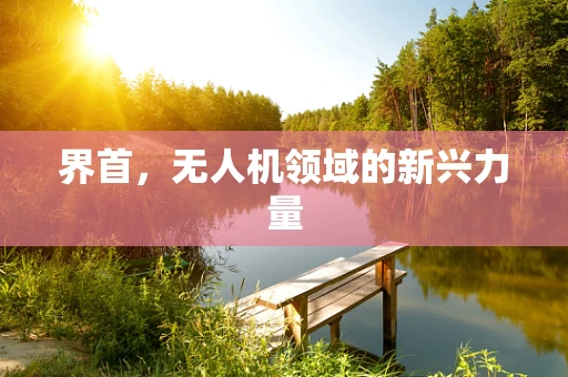 界首，无人机领域的新兴力量