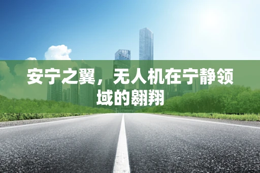 安宁之翼，无人机在宁静领域的翱翔