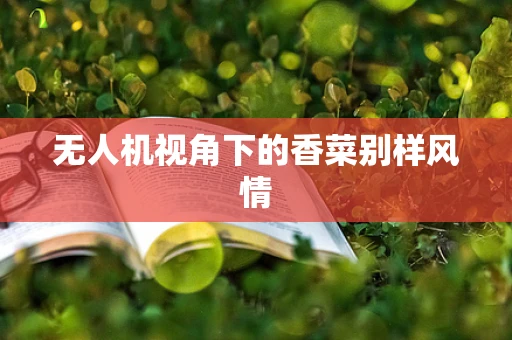 无人机视角下的香菜别样风情
