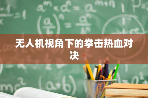 无人机视角下的拳击热血对决