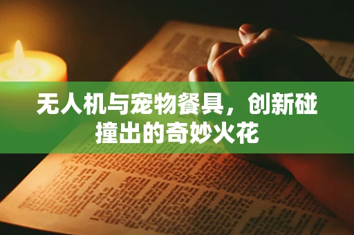 无人机与宠物餐具，创新碰撞出的奇妙火花