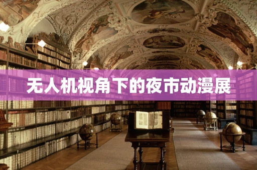 无人机视角下的夜市动漫展