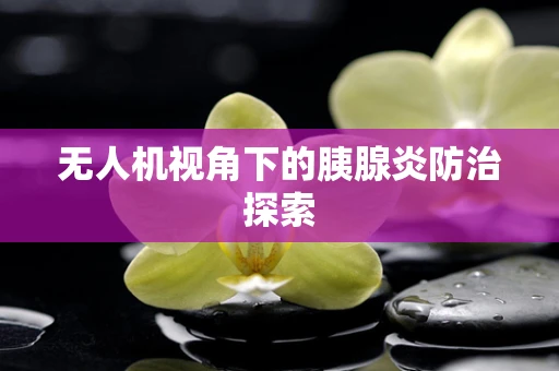 无人机视角下的胰腺炎防治探索