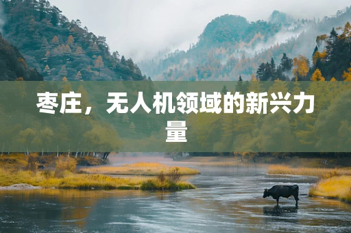 枣庄，无人机领域的新兴力量