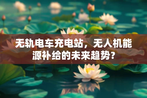 无轨电车充电站，无人机能源补给的未来趋势？