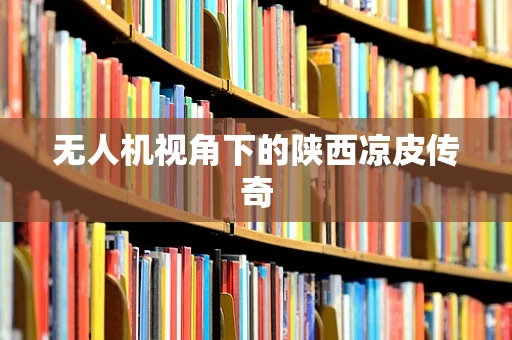无人机视角下的陕西凉皮传奇