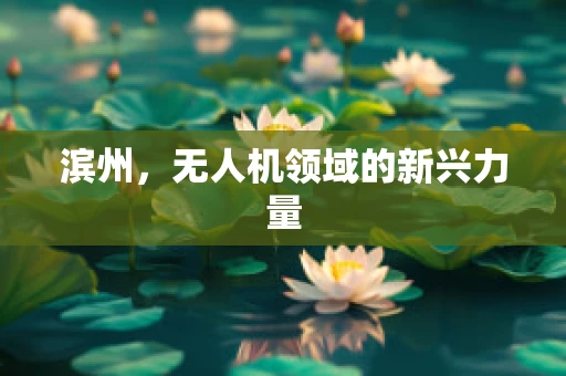 滨州，无人机领域的新兴力量