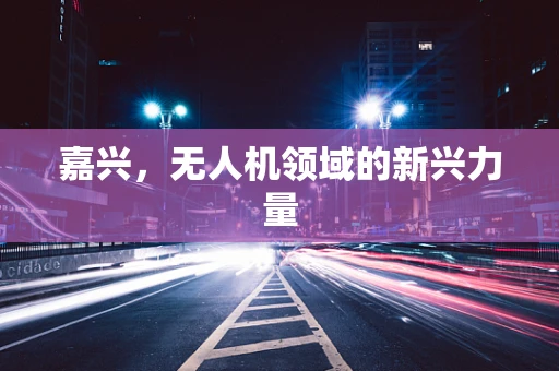 嘉兴，无人机领域的新兴力量