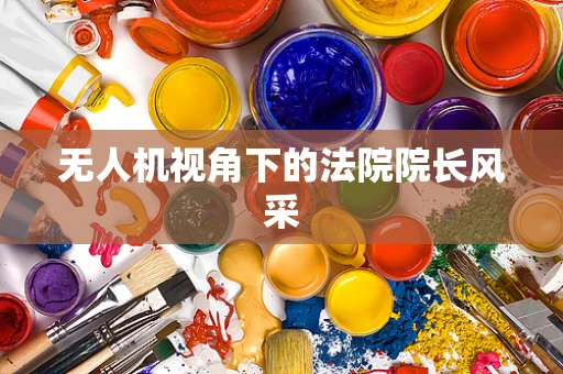 无人机视角下的法院院长风采