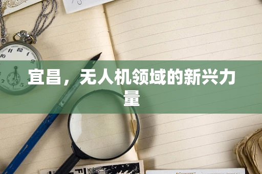 宜昌，无人机领域的新兴力量