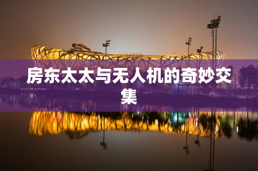 房东太太与无人机的奇妙交集