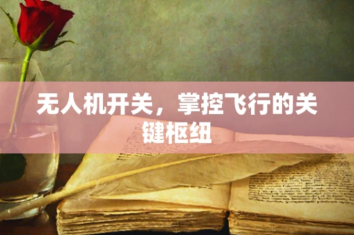 无人机开关，掌控飞行的关键枢纽