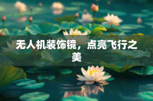 无人机装饰镜，点亮飞行之美