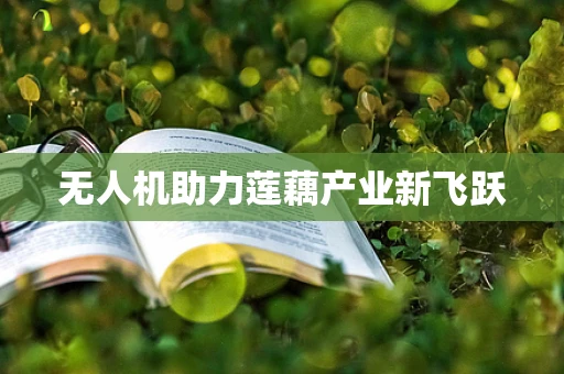 无人机助力莲藕产业新飞跃