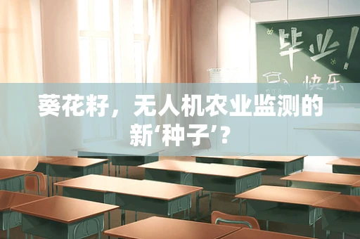 葵花籽，无人机农业监测的新‘种子’？