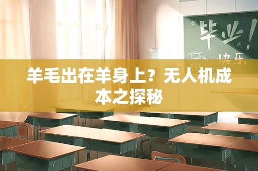 羊毛出在羊身上？无人机成本之探秘