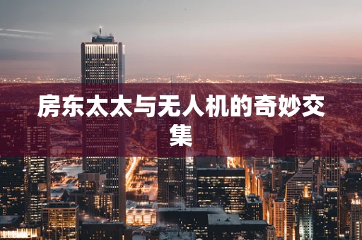 房东太太与无人机的奇妙交集