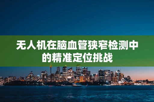 无人机在脑血管狭窄检测中的精准定位挑战