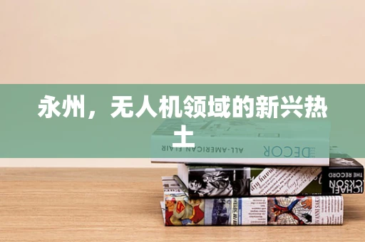 永州，无人机领域的新兴热土