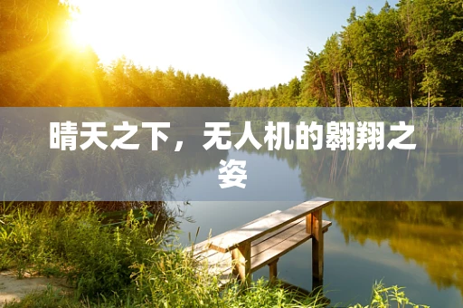 晴天之下，无人机的翱翔之姿