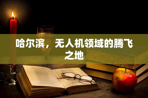 哈尔滨，无人机领域的腾飞之地