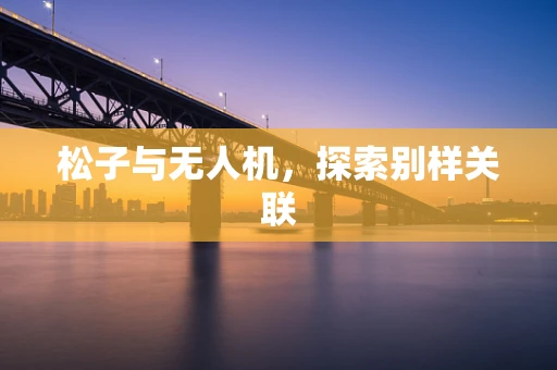 松子与无人机，探索别样关联