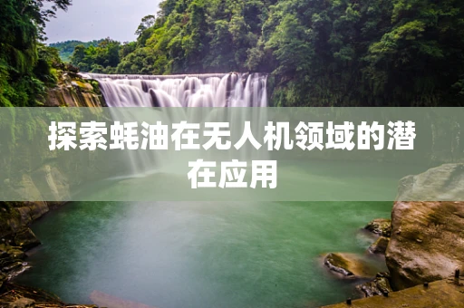探索蚝油在无人机领域的潜在应用