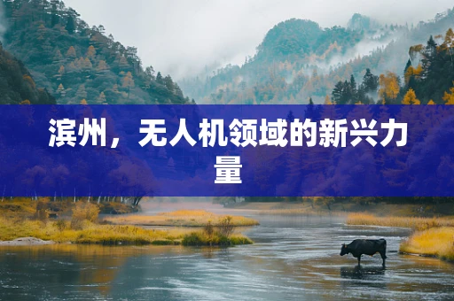 滨州，无人机领域的新兴力量