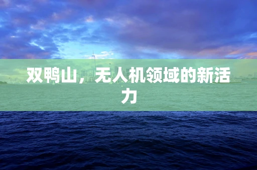 双鸭山，无人机领域的新活力
