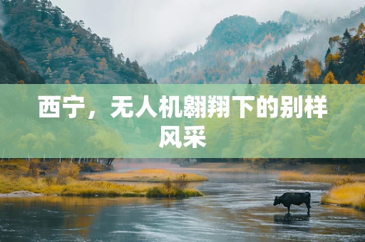 西宁，无人机翱翔下的别样风采
