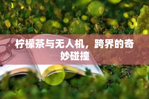 柠檬茶与无人机，跨界的奇妙碰撞