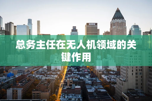 总务主任在无人机领域的关键作用