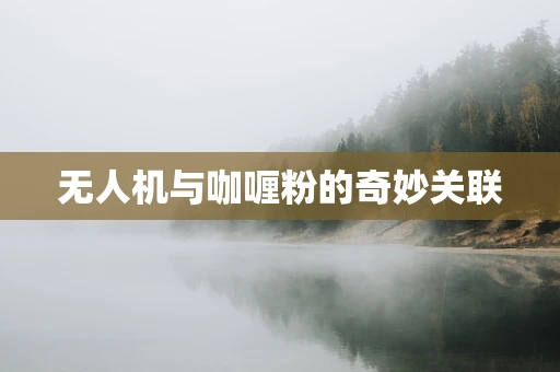 无人机与咖喱粉的奇妙关联