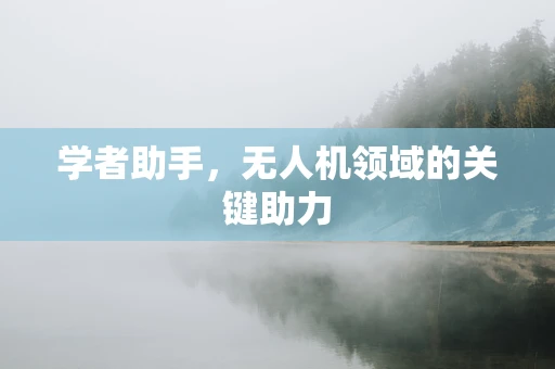学者助手，无人机领域的关键助力