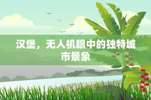 汉堡，无人机眼中的独特城市景象
