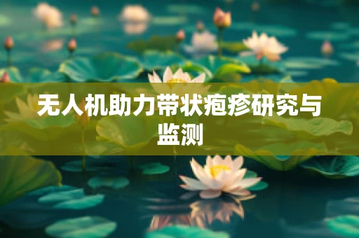 无人机助力带状疱疹研究与监测