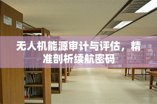 无人机能源审计与评估，精准剖析续航密码