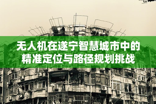 无人机在遂宁智慧城市中的精准定位与路径规划挑战