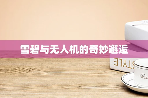 雪碧与无人机的奇妙邂逅
