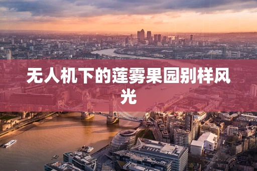 无人机下的莲雾果园别样风光
