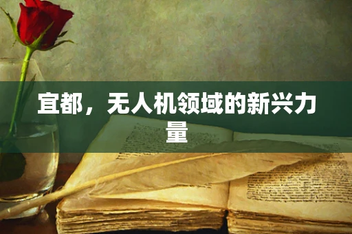宜都，无人机领域的新兴力量