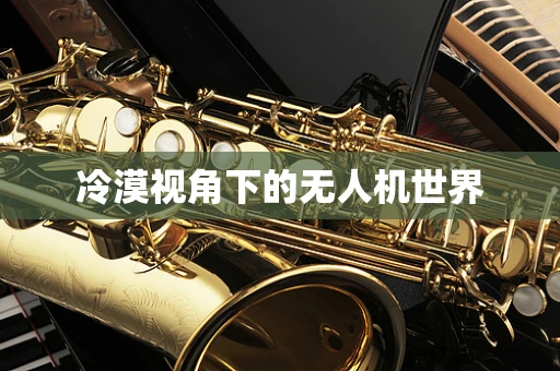 冷漠视角下的无人机世界