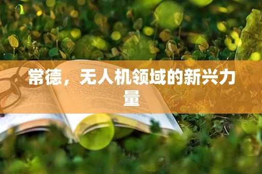 常德，无人机领域的新兴力量