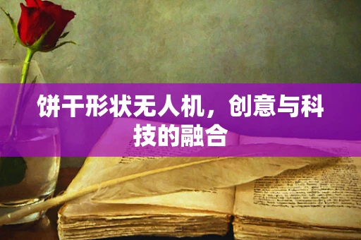 饼干形状无人机，创意与科技的融合