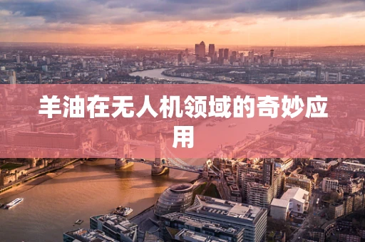 羊油在无人机领域的奇妙应用